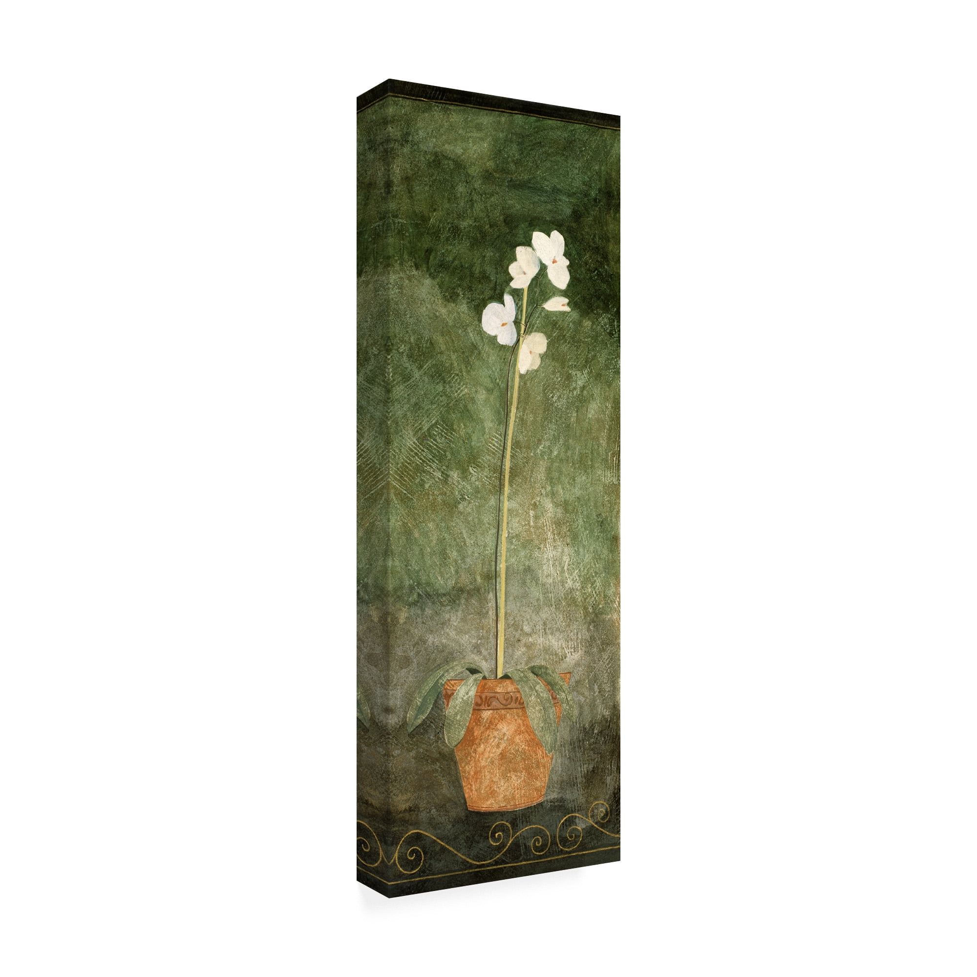 Trademark Fine Art 'White Orchid In Pot On Green' Canvas Art by Pablo Esteban