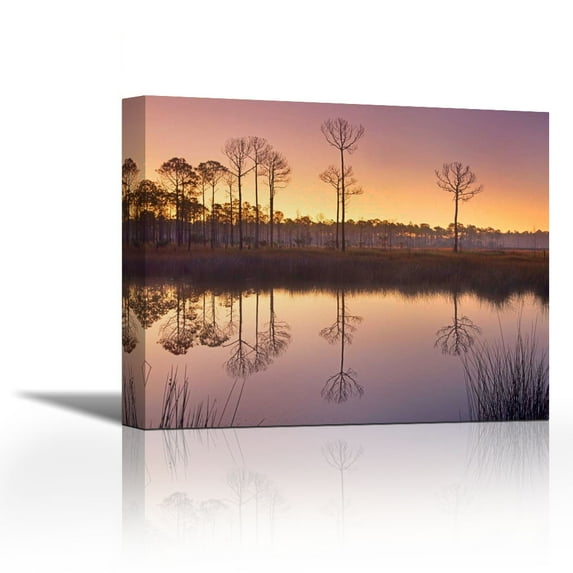 Pineland at Piney Point near Hagens Cove, Florida - Contemporary Fine Art Giclee on Canvas Gallery Wrap - wall décor - Art painting - 36 x 29 Inch - Ready to Hang