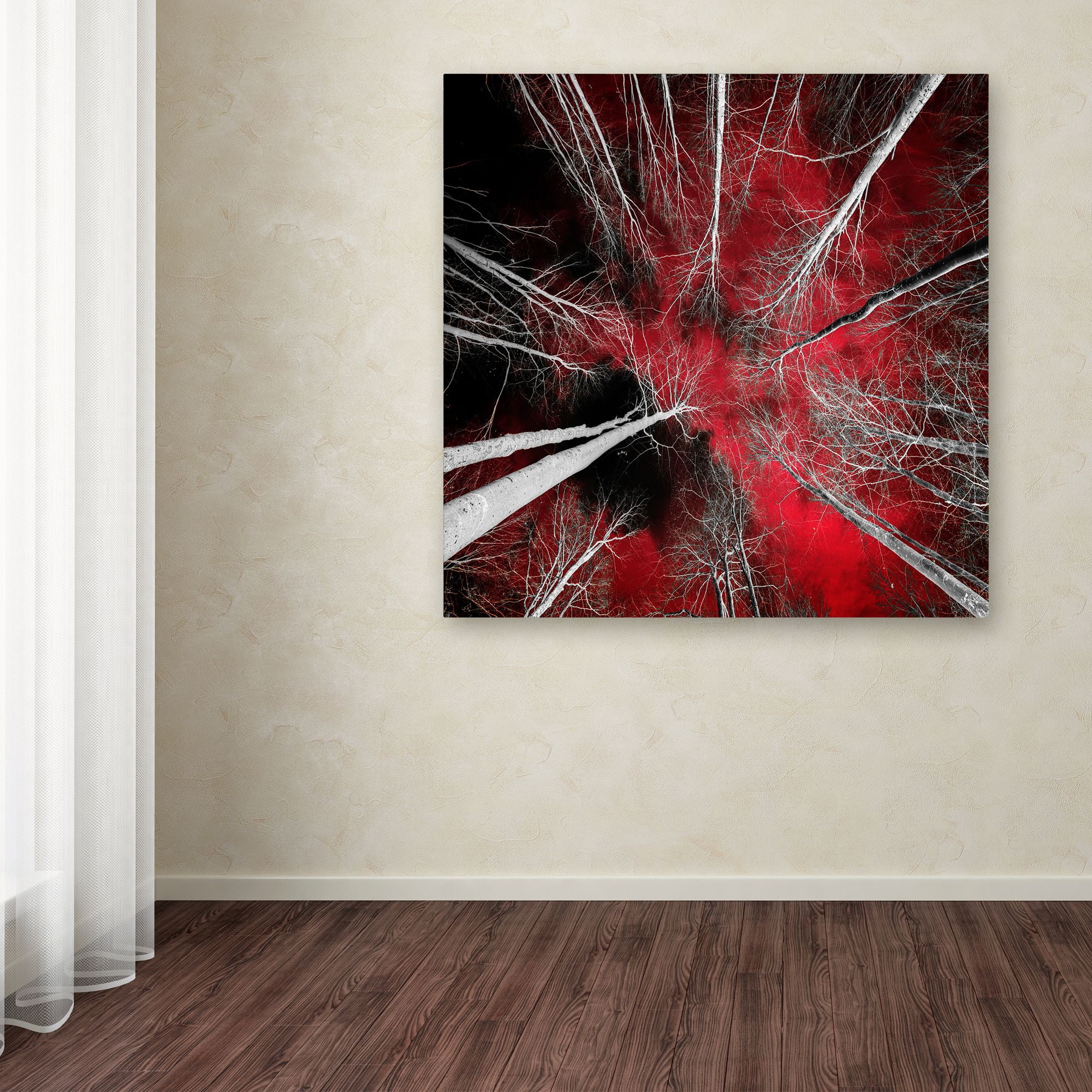 Trademark Fine Art "I Can't Believe It" Canvas Art by Philippe Sainte-Laudy