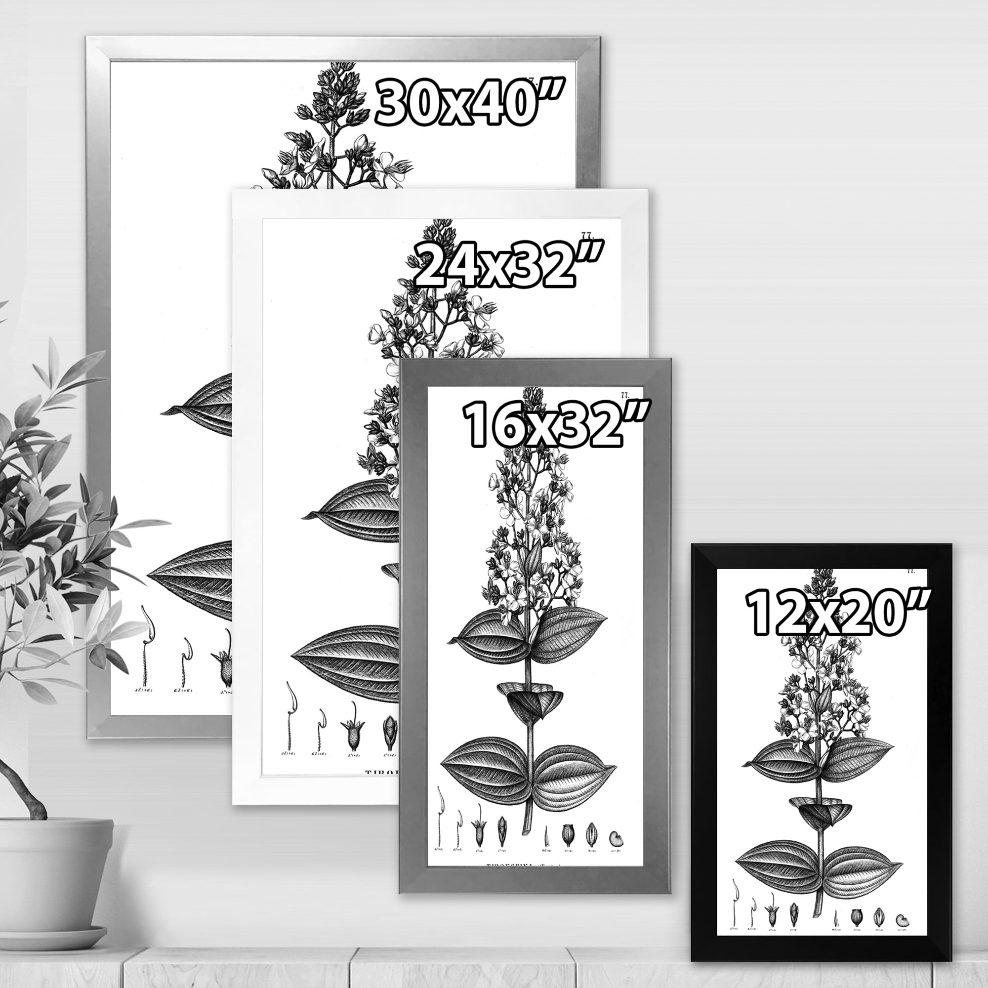 Designart 'Ancient American Flora VI' Traditional Framed Art Print
