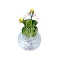 thumbnail image 2 of Mashaouyo Desktop Decor Cactus Car Center Console Decoration Transparent Resin Crafts Computer Home Decoration, 2 of 3