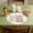 Fashion--Multicolor, variant on Easter Placemats 15 Inches Round Table Mats and Coasterss Heat-resistants and Stain-resistants Suitable for Parties Kitchens and Restaurant Decoration