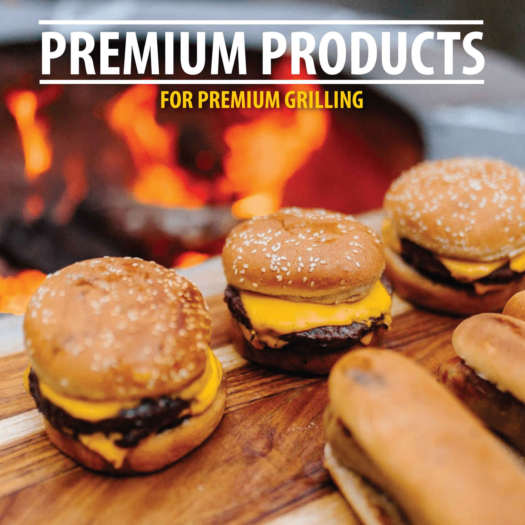FOGO Ultimate Fire Starter Bundle, Blazaball and FOGOstarters Natural Fire Starters 30 Pieces