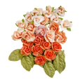 thumbnail image 1 of Mercadotecnia prima Prima Marketing  FG658632, 1 of 1