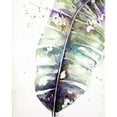 thumbnail image 3 of Pinto, Patricia 12x14 Black Modern Framed Museum Art Print Titled - Watercolor Plantain Leaves with Purple II, 3 of 5
