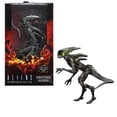 thumbnail image 1 of ALIENS: FIRETEAM ELITE - 7 FIG - SERIES 2 SPITTER ALIEN NECA, 1 of 3
