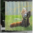 thumbnail image 4 of Ambesonne Panda Shower Curtain, Wild Animal on the Meadow, 69"Wx75"L, Brown and Red, 4 of 5