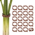 thumbnail image 1 of Uxcell 200-Pack Clips para Tomate, Clips de Soporte para Plantas de Plástico, Clips de Jardín Reutilizables para Plantas de Tomate/Uva/Vides [Marrón], 1 of 1