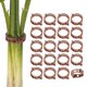 thumbnail image 1 of Uxcell 200-Pack Clips para Tomate, Clips de Soporte para Plantas de Plástico, Clips de Jardín Reutilizables para Plantas de Tomate/Uva/Vides [Marrón], 1 of 1