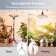 thumbnail image 3 of Luces de cultivo para plantas de interior 90 W LED espectro completo con temporizador 4 8 12 horas y cuello de cisne, 3 of 8