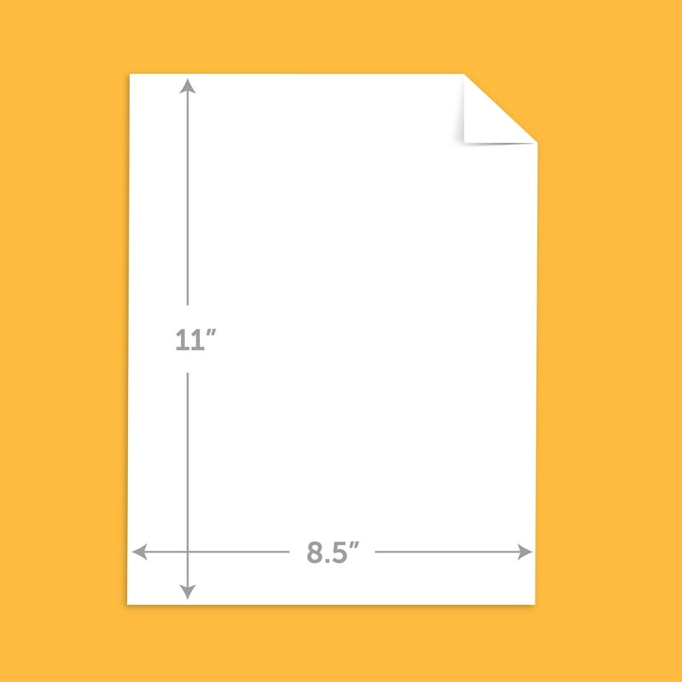 Chart Gallery スタンダード JR 485系特急電車(新潟車両センター・T18編成)セット ｜製品情報