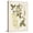 Canvas, variant on Art.com Vintage Flowering Trees VII Art Print by 0 Unknown, 12" x 16"
