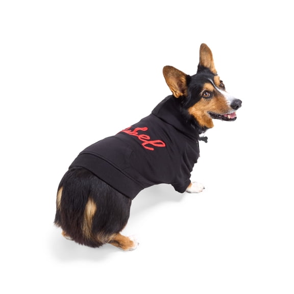 Reddy Rebel Dog Hoodie Large