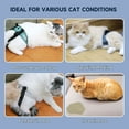 thumbnail image 3 of Paw Legend Cat Diapers for Male Cats Spraying Washable Reusable Kitten Diapers for Cats Incontinence Pet Diapers (3 Pack, Small), 3 of 7