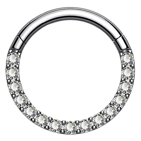 OUFER Titanium Daith Earring Hoop Solid G23 Titanium Cartilage Tragus Helix Rings 16G Septum Piercing Jewelry Hinged Segment Hoop with Clear CZ Paved