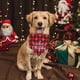 thumbnail image 5 of Paquete de 3 pañuelos para perros, bufandas navideñas para mascotas, baberos triangulares, conjunto de pañuelos, accesorios de decoración para disfraces de mascotas, 5 of 5