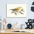 thumbnail image 3 of Epic Art 'Birds and Blossoms I' by Courtney Prahl, Acrylic Glass Wall Art, 16"x12", 3 of 3