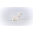 thumbnail image 4 of Figura de perro de juguete Schleich Farm World Bichon Frise 2023 Kids, 4 of 5