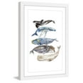 thumbnail image 3 of "Whale Species" by Rachel Byler Framed Painting Print, 3 of 5