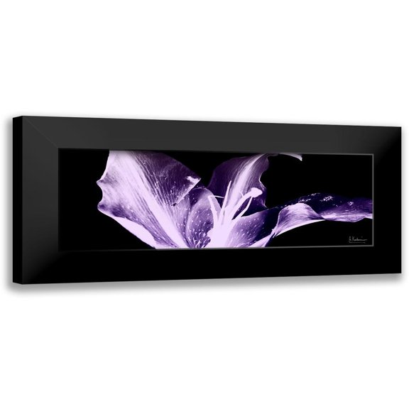 Koetsier, Albert 14x7 Black Modern Framed Museum Art Print Titled - Violet Explosion 1
