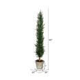 thumbnail image 2 of Vickerman FG190160 60 in. Potted Cedar Tree with Paper Pot, 2 of 3