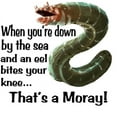 thumbnail image 2 of CafePress - A Moray -  Round Wood Ornament 4", 2 of 2