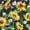 Sunflowers, variant on Vera Bradley Women's Cotton RFID Wristlet Rose Toile