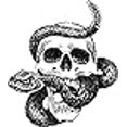 thumbnail image 2 of Black and White Pen Sketch Skull with Rattle Snake Art Vinyl Sticker (4" Tall), 2 of 2