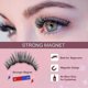 thumbnail image 2 of Magnetic eyeliner and eyelashes, 2 pairs of natural and reusable eyelashes, with tweezers and fashion mirror Kit, 2 of 5