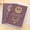 Clear, variant on Limei 5 PCS Plastic Passport Cover Passport Protector with Extra Slots for CN, US, UK and Other Standard Size Passports (clear)