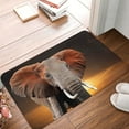 thumbnail image 4 of Rateoe Elephant Sunset in Kenya Pattern Flannel Door Mat Indoor Outdoor Entrance, Waterproof All-Weather Doormat,Fade Resistant, Low Profile Entryway Mat 16x24in, 4 of 7