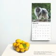 thumbnail image 5 of Keeshonden | 2025 12x24" (Hanging) Square Wall Calendar | BrownTrout, 5 of 9