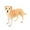 A, variante sur Jouets Figurines Décoration Maison Préscolaire Éducatif Arcti Animaux d'Hiver Cadeau