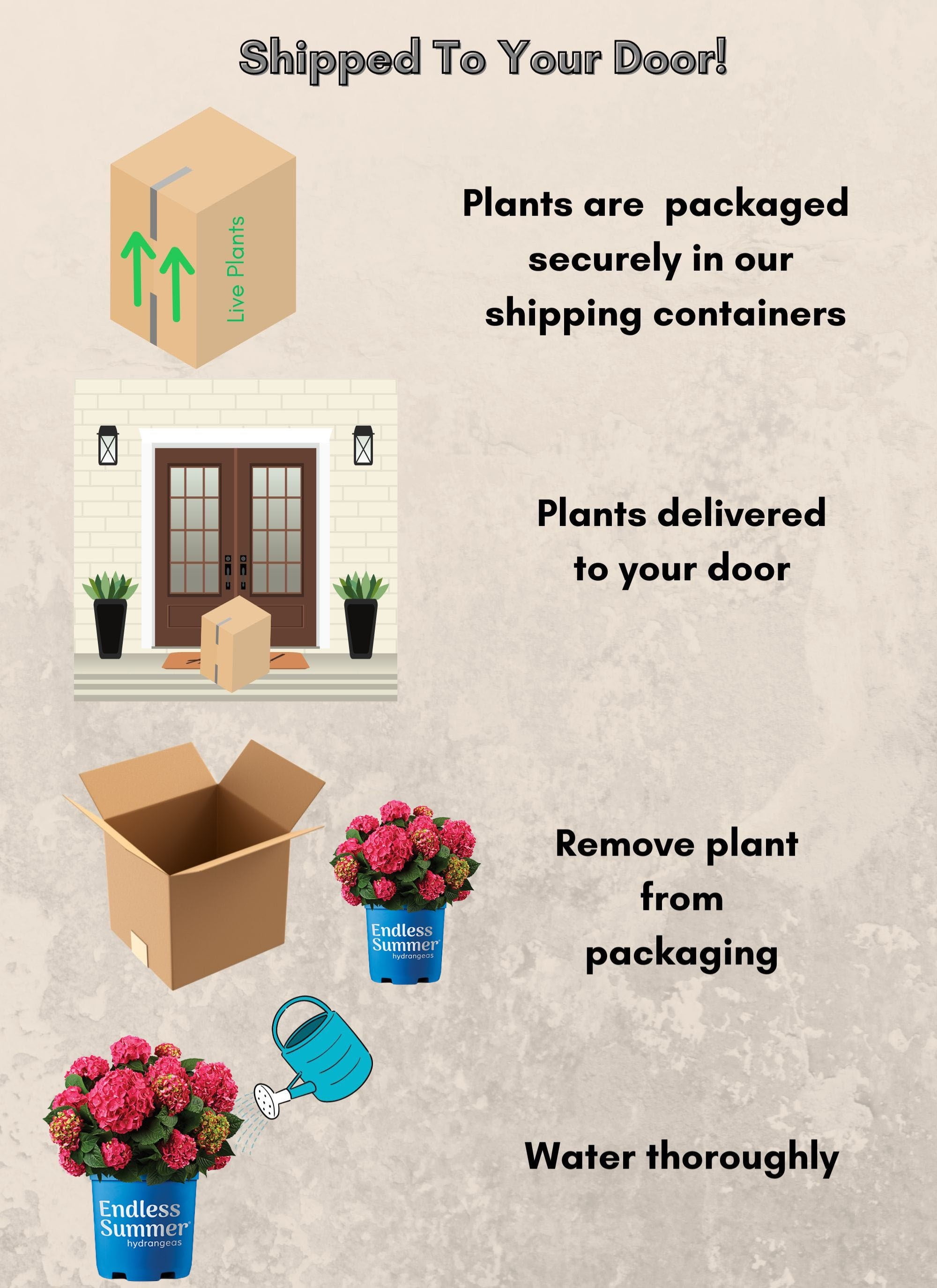 Endless Summer Summer Crush Reblooming Hydrangea Live Shrub in 1-Gallon Grower Pot