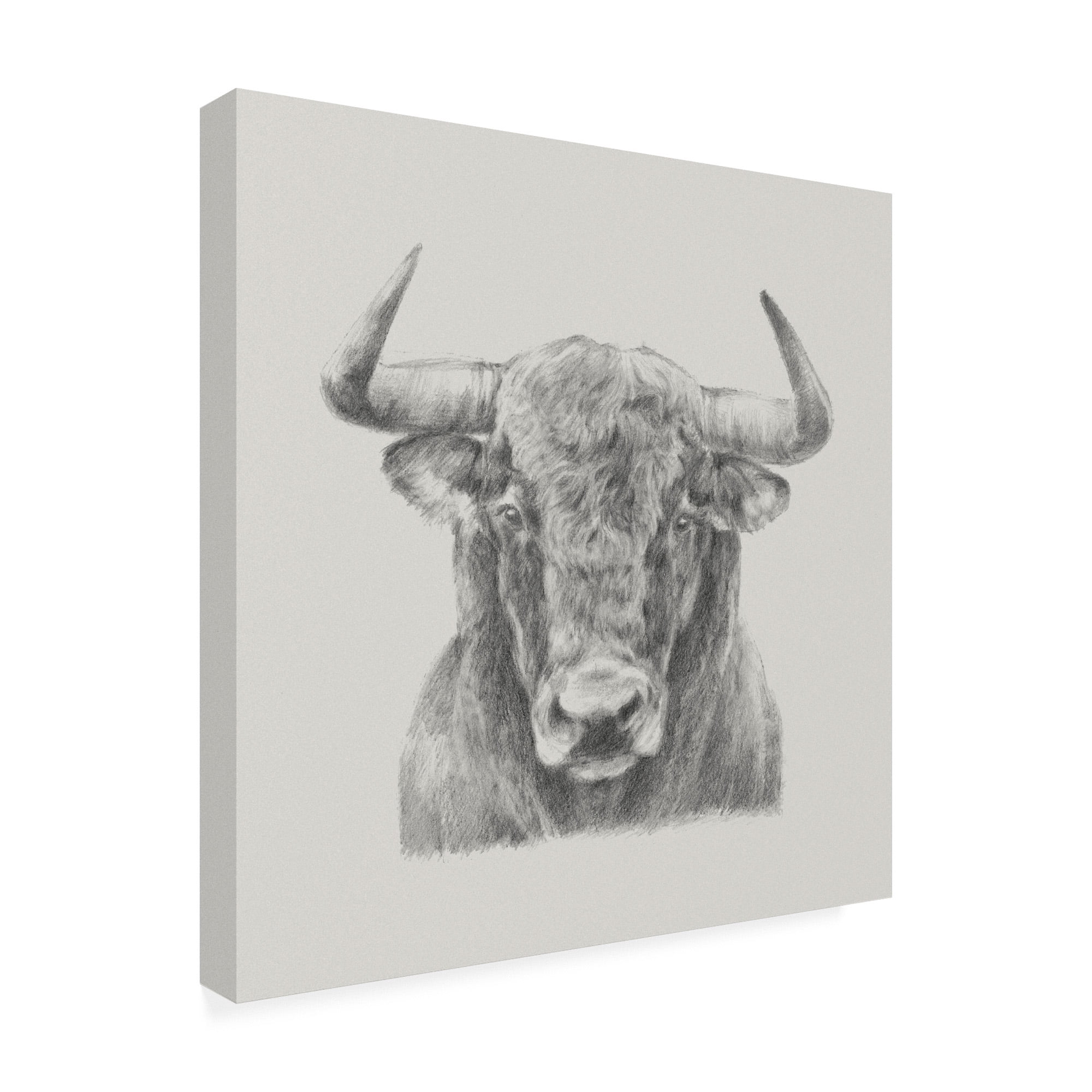 Black And White Bull' Canvas Art by Ethan Harper