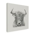 thumbnail image 2 of Black And White Bull' Canvas Art by Ethan Harper, 2 of 4