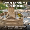thumbnail image 5 of Sunnydaze Cyprus Eggshell Traditional Polyresin 3-Tier Outdoor Water Fountain, 5 of 13