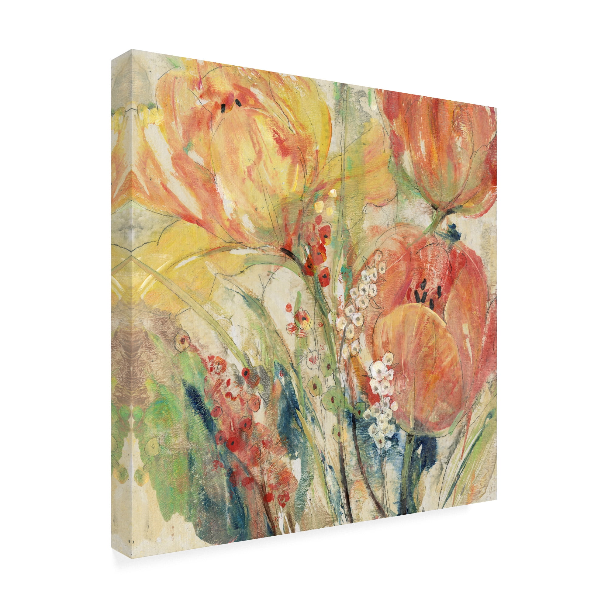 Trademark Fine Art 'Spring Tulip Array I' Canvas Art by Tim OToole
