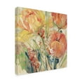 thumbnail image 2 of Trademark Fine Art 'Spring Tulip Array I' Canvas Art by Tim OToole, 2 of 3