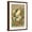 Brown Frame, variant on Art.com Frog Playing Banjo in Moonlight Stretched Canvas Print Wall Art, 24" x 36"