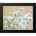 thumbnail image 2 of McLoughlin, James 18x15 Black Modern Framed Museum Art Print Titled - Babys Breath Study II, 2 of 5