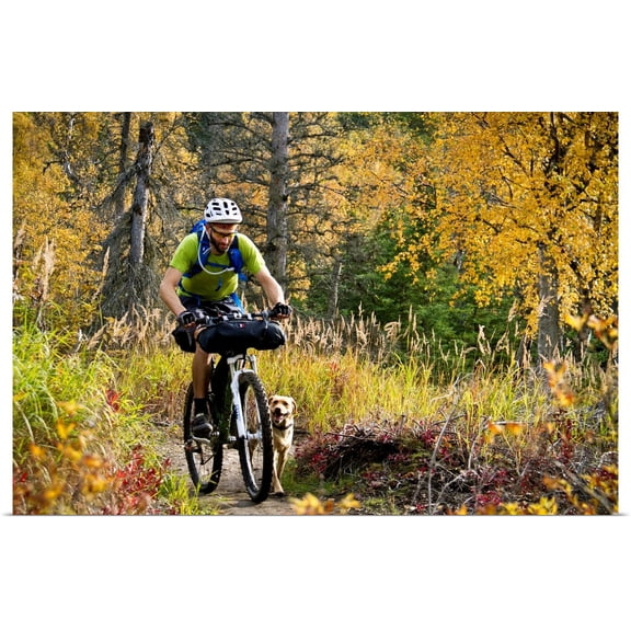 Great BIG Canvas | Rolled Joe Stock Poster Print entitled Man Mountain Biking With Dog Running Beside Him, Anchorage, Alaska