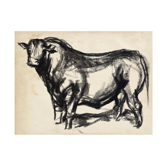 Jennifer Paxton Parker 'Black Angus II' Canvas Art