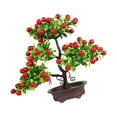 thumbnail image 1 of frutal Artificial, bonsái, adorno de plantas, centro de mesa realista, decoración de mesa para cocina resistente Estilo E, 1 of 9