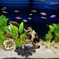 thumbnail image 3 of 1 paquete de rocas volcánicas para acuario, pequeñas piedras de lava natural para decoración de plantas en maceta., 3 of 7