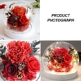 thumbnail image 3 of Decoración de flores eternas, cubierta de cristal esférica de clavel rosa con luz, regalo de cumpleaños, regalo de vacaciones para familiares y amigos, 3 of 5