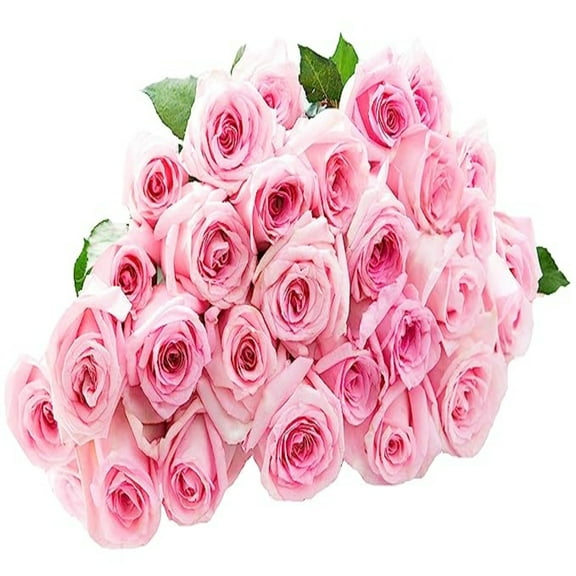 KaBloom: Fall Collection-Bouquet of 25 Pink Roses,Next-Day Delivery, Gift of Fresh Flowers for Every Occasion.