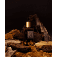 thumbnail image 2 of Perfume Goldfield & Banks Woods Elixir 100 ml para hombre, 2 of 4