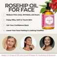 thumbnail image 2 of Leven Rose Rosehip Seed Oil for Face 4 oz - Pure Rosehip Oil for Face - Unrefined Cold Pressed Rosehip Oil for Body, 2 of 7