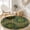 Color 4, variant on SPXUBZ Vintage Emerald Green Celtic Totem Emblem Round Area Rug, Velvet Washable Circle Carpet, Non-Slip Floor Mat for Living Room Bedroom Antique Traditional Decor (31.5", 39.4", 63", 78.7")